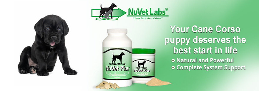 nuvet labs dogs cats vitamins supplements header